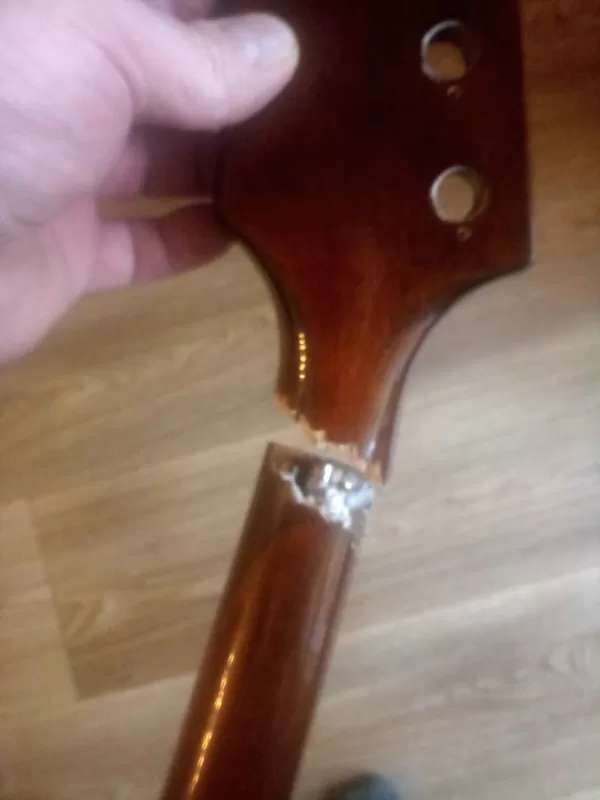 zlomený krk Epiphone